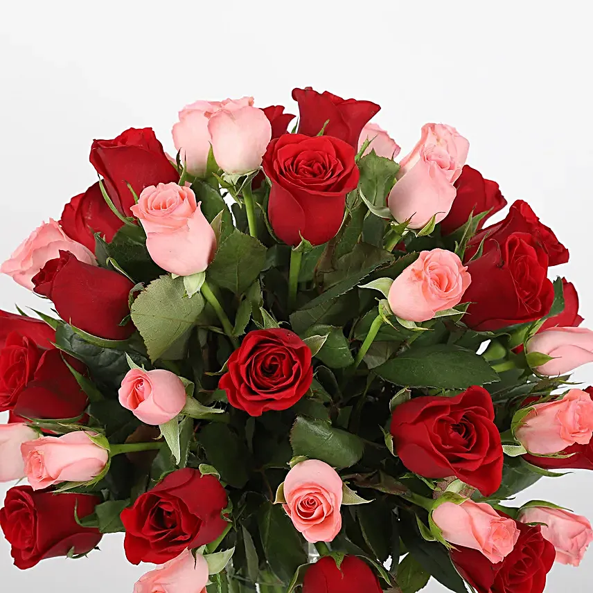 Mix Red n Pink roses with black forest cake