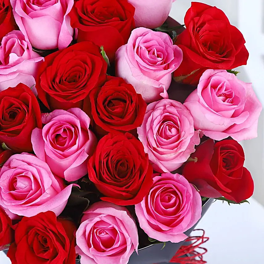 Roses Combo Harmony