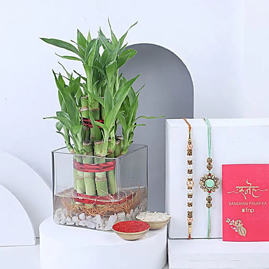 Sneh Ethnic Rakhi and 2 Layer Bamboo Plant