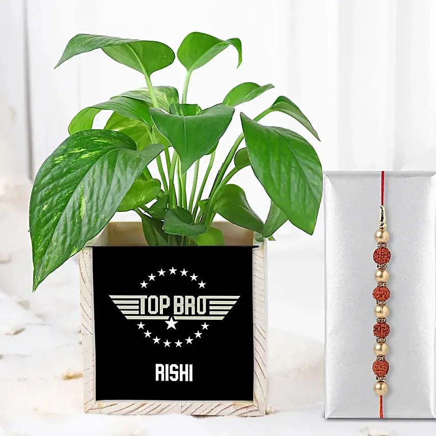 Rudraksha Rakhi N Money Plant In Top Bro Organiser