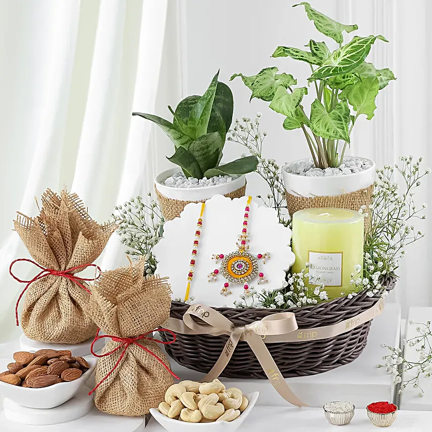 Designer BB Rakhi with Lush Plant Duo