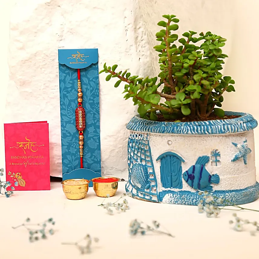 Designer Capsule Rakhi And Jade Plant House Pot C