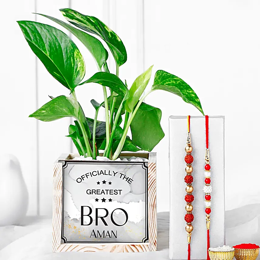 Rudraksha Fortune Rakhi N Money Plant Combo