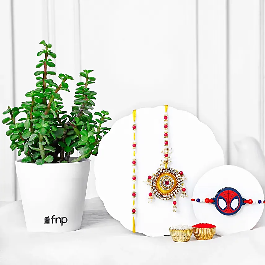 Family Rakhi Set N Jade Plant Combo