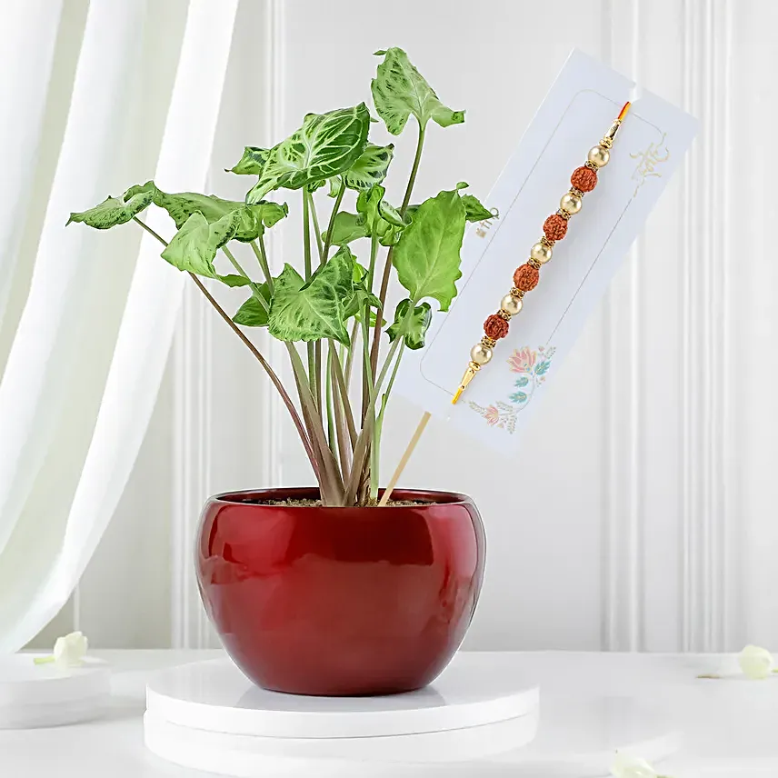 Ethnic Meenakari Rakhi with Golden Plant