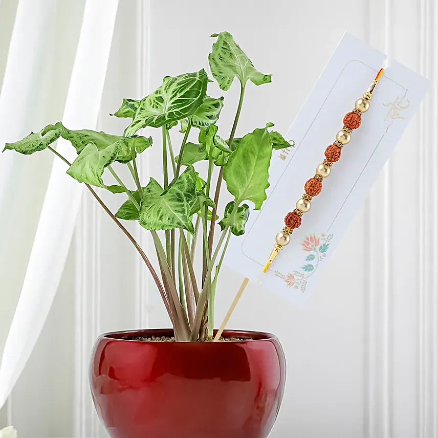 Ethnic Meenakari Rakhi with Golden Plant