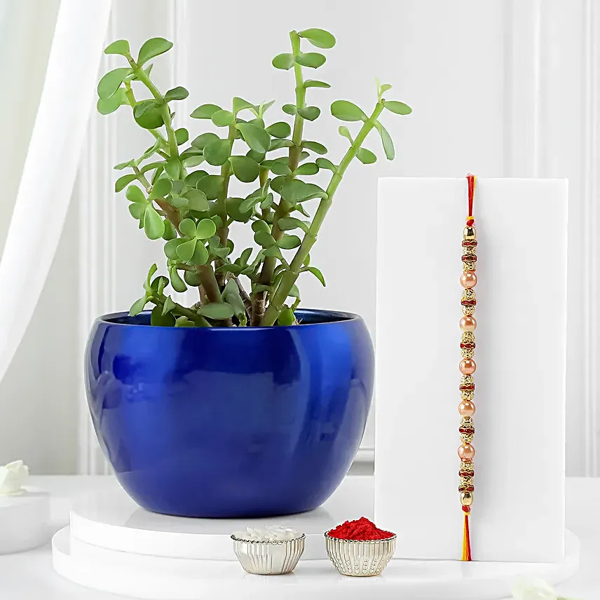 Lush Jade N Pearl Rakhi Duo