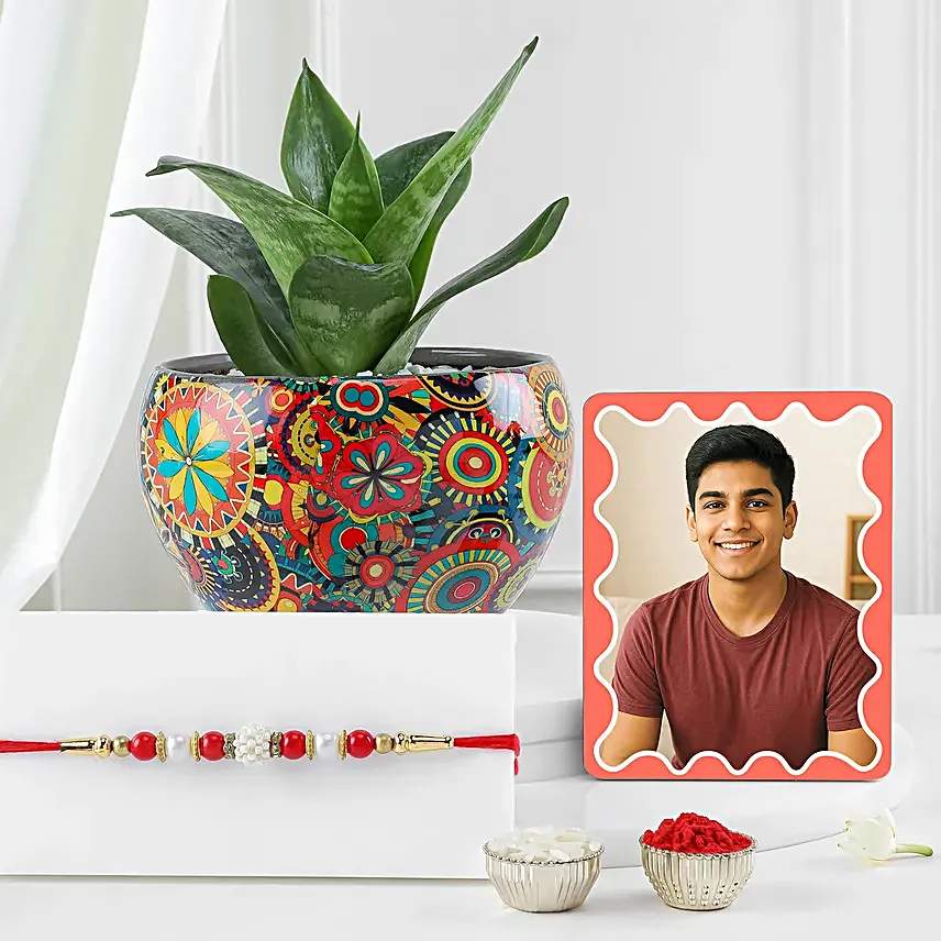 Sanseveiria Plant with Pearl Rakhi