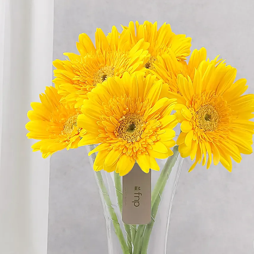 Sunny Gerbera Bouquet for Friendship