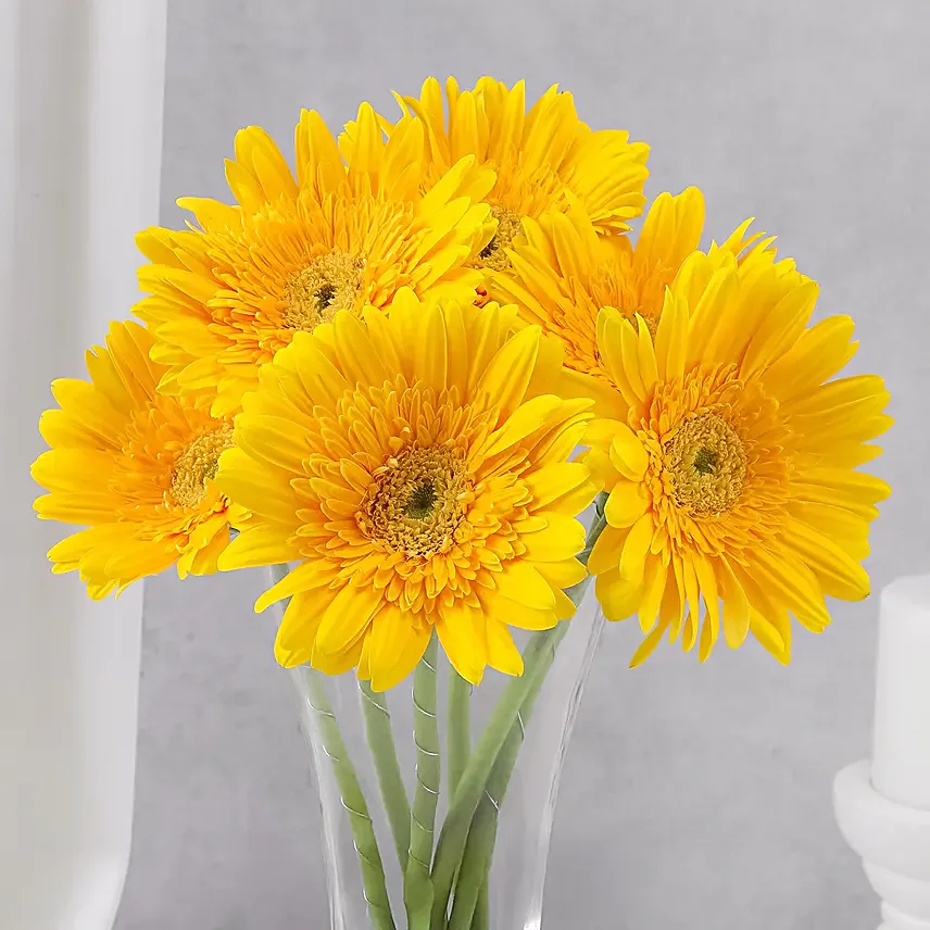 Sunny Gerbera Bouquet for Friendship