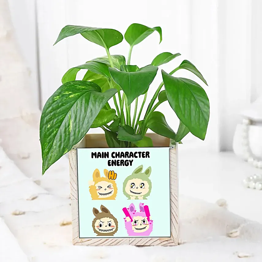 Vibrant Vibes with Money Plant