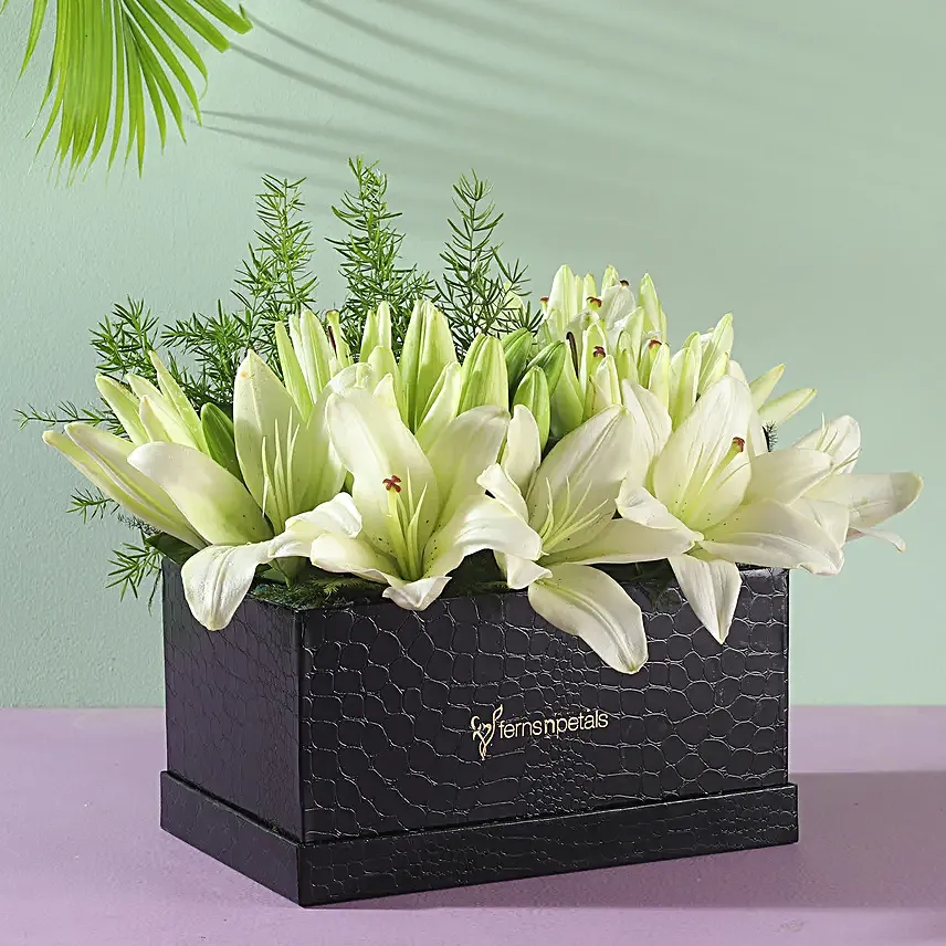Beautiful Lilies in Box Online
