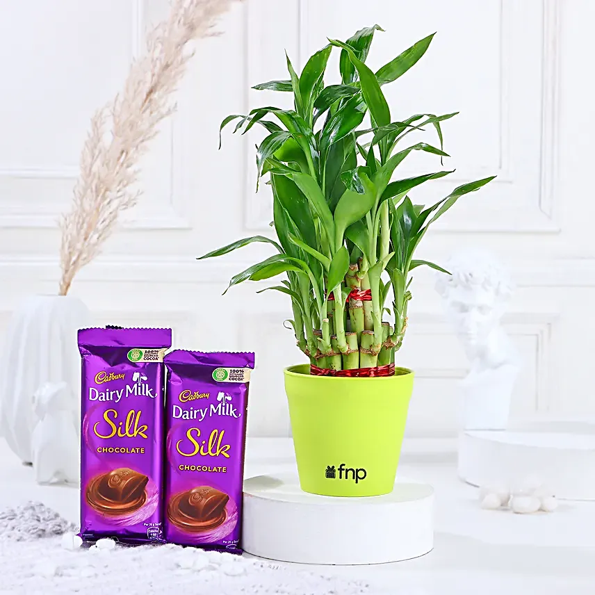 2 Layer Bamboo In Melamine Pot & Cadbury Chocolates