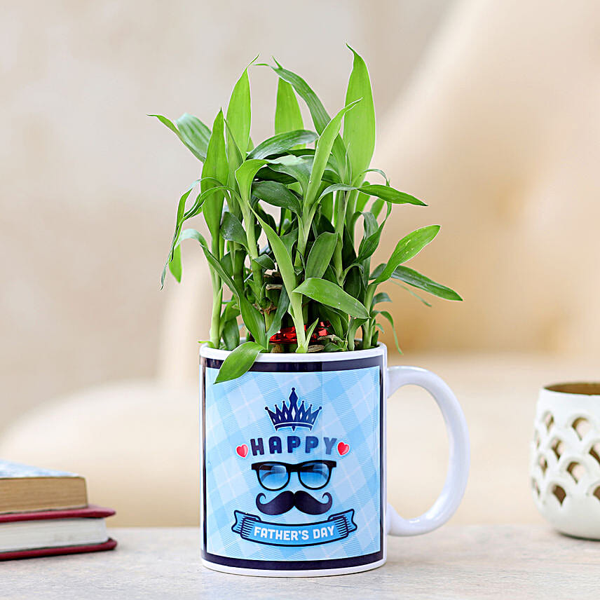 bedroom plant for fathers day