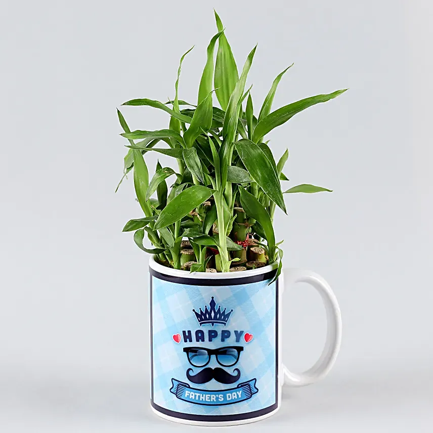 bedroom plant for fathers day