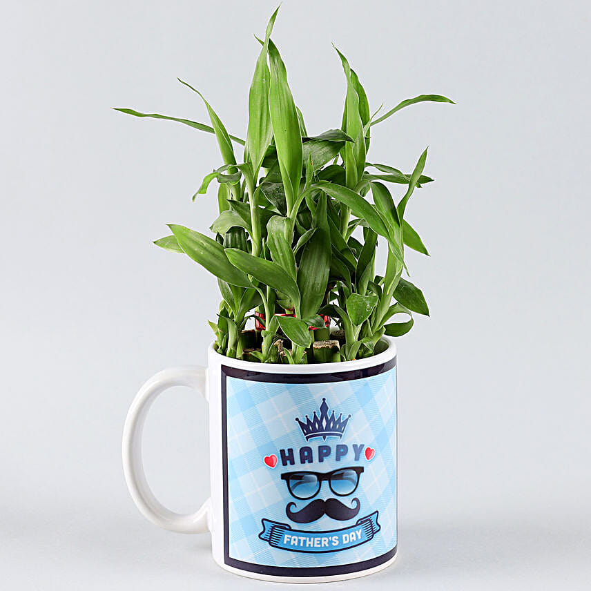 bedroom plant for fathers day