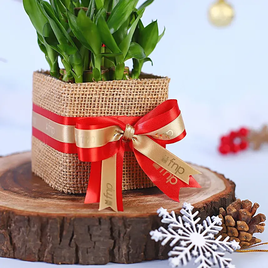 2 Layer Bamboo Plant Christmas Vase