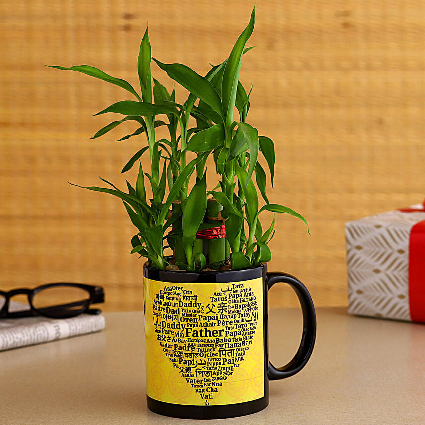 2 Layer Bamboo Plant In Fathers Day Special Ceramic Mug Hand Delivery
