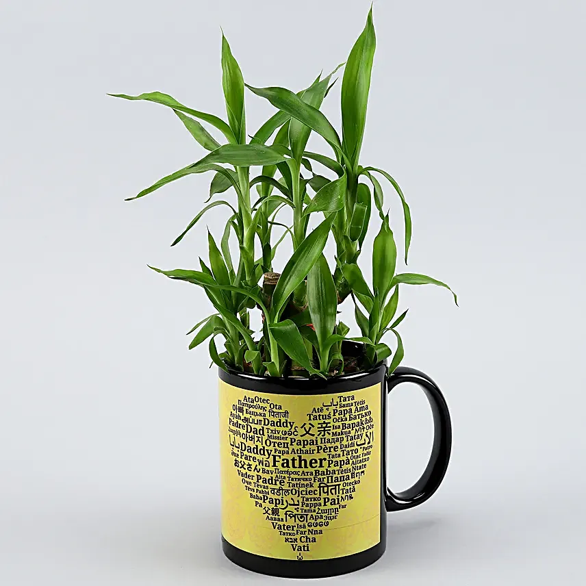 2 Layer Bamboo Plant In Fathers Day Special Ceramic Mug Hand Delivery