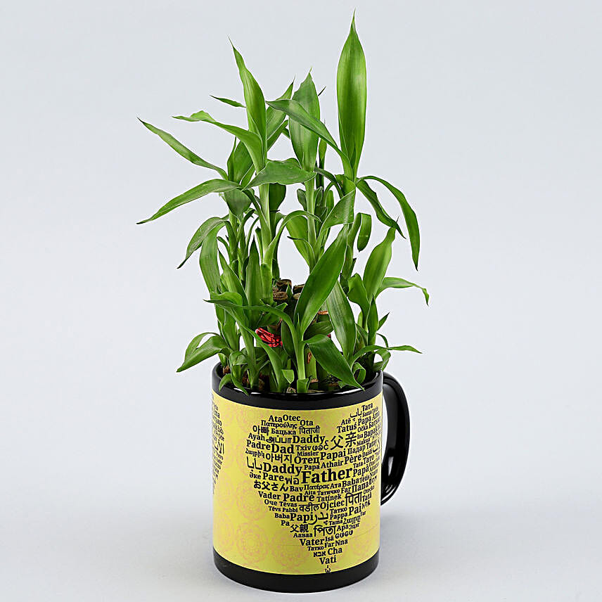 2 Layer Bamboo Plant In Fathers Day Special Ceramic Mug Hand Delivery