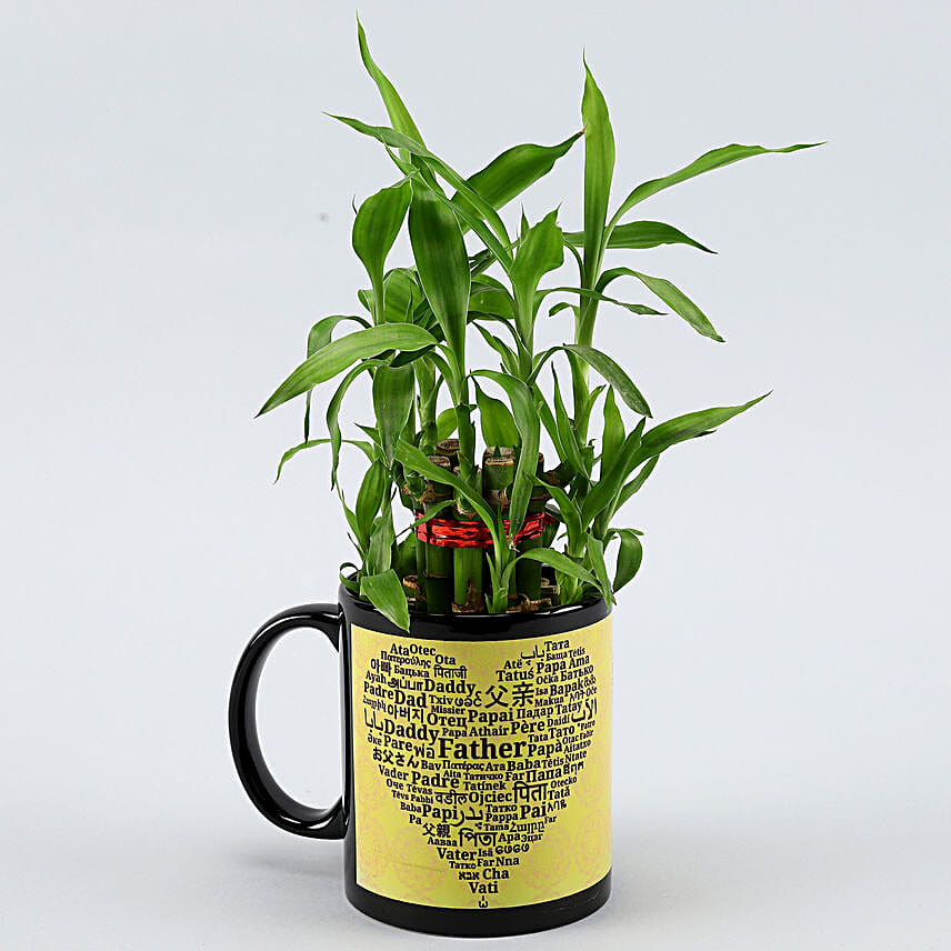 2 Layer Bamboo Plant In Fathers Day Special Ceramic Mug Hand Delivery