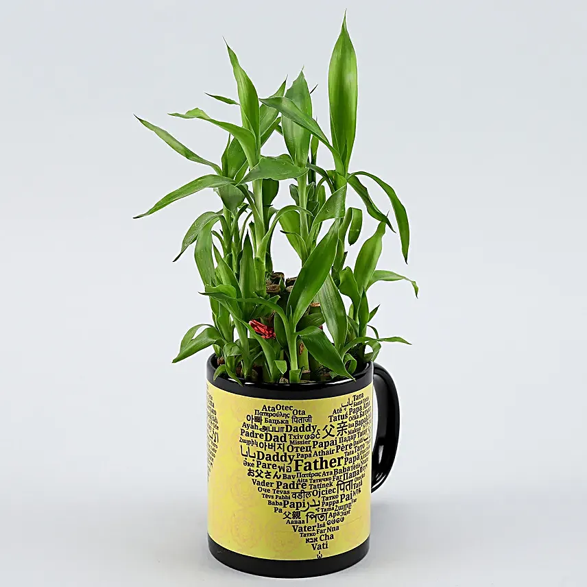 2 Layer Bamboo Plant In Father's Day Special Ceramic Mug