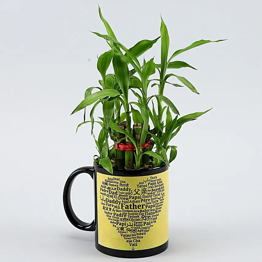 2 Layer Bamboo Plant In Father's Day Special Ceramic Mug