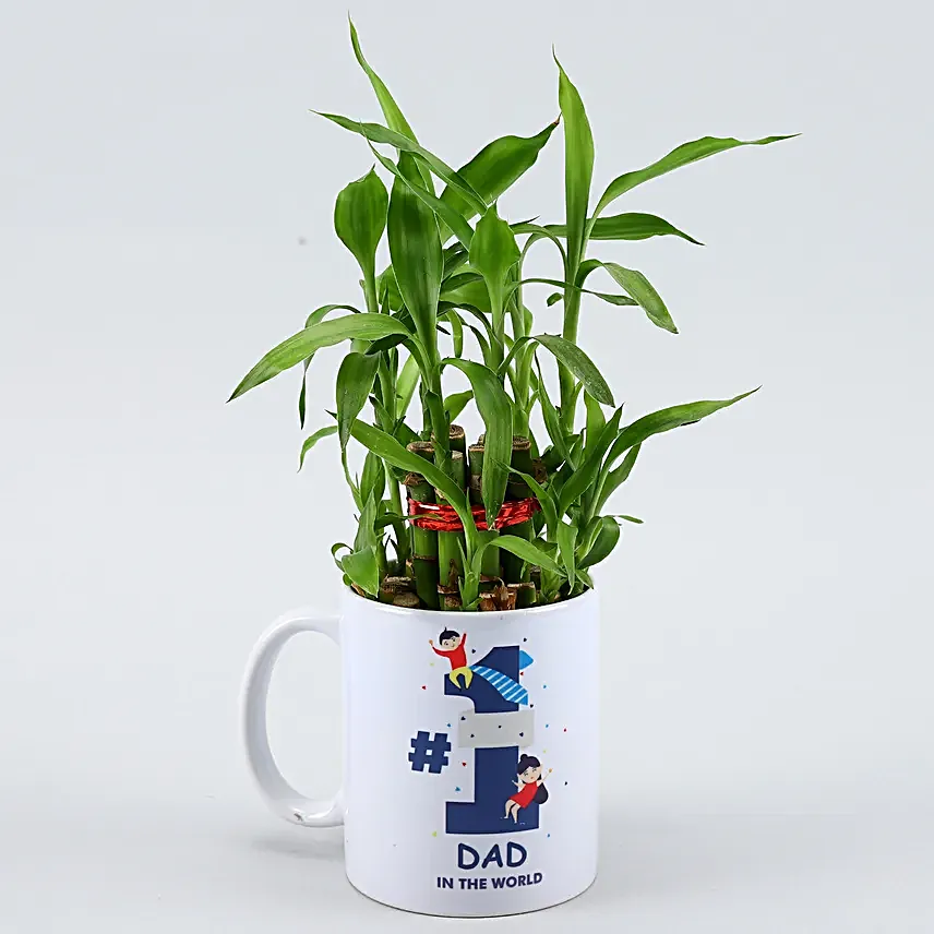 2 Layer Bamboo Plant In No. 1 Dad Ceramic Mug