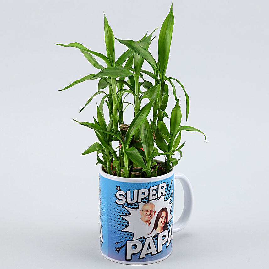 2 Layer Bamboo Plant In Super Dad Ceramic Mug