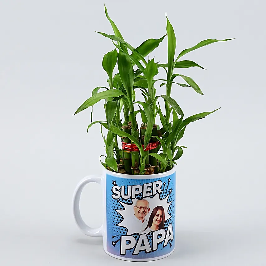 2 Layer Bamboo Plant In Super Dad Ceramic Mug