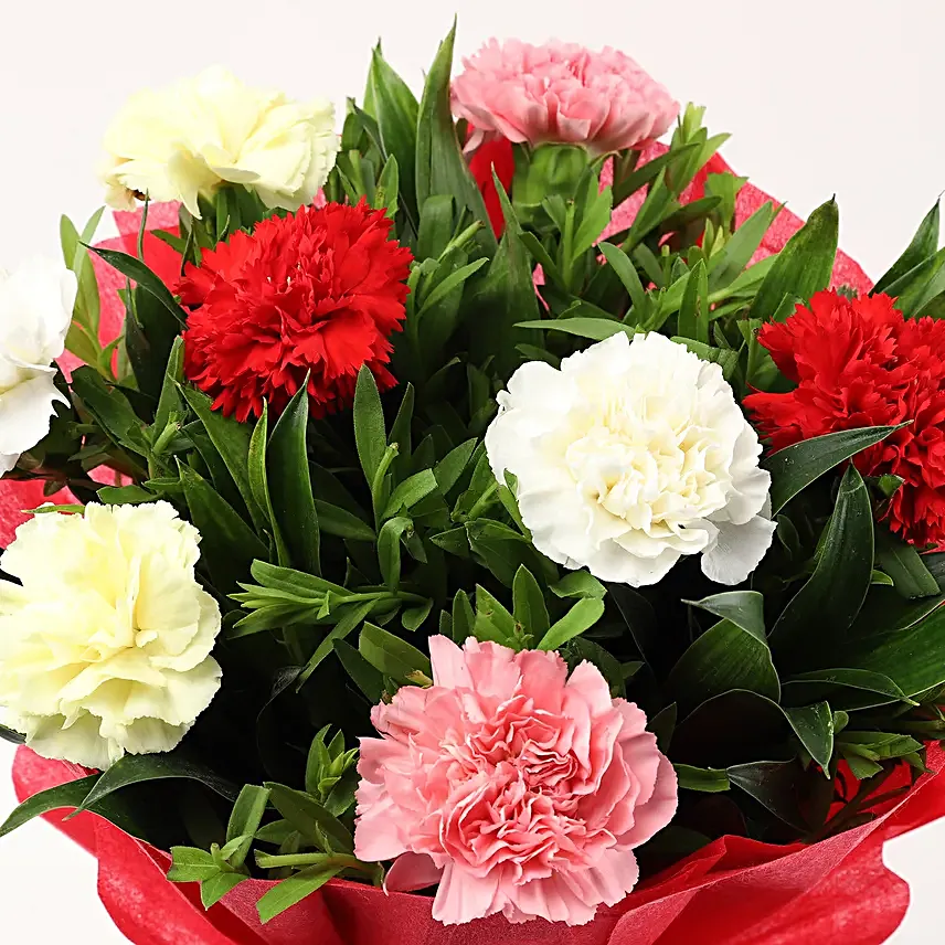 Mixed Carnations Bouquet Online