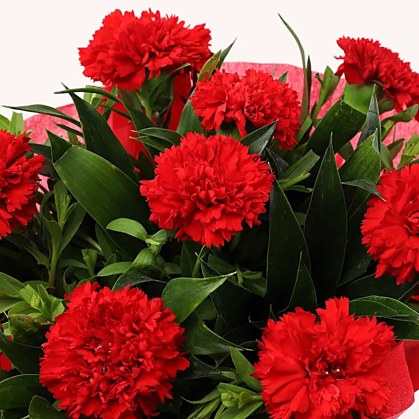 Red Carnations Bouquet