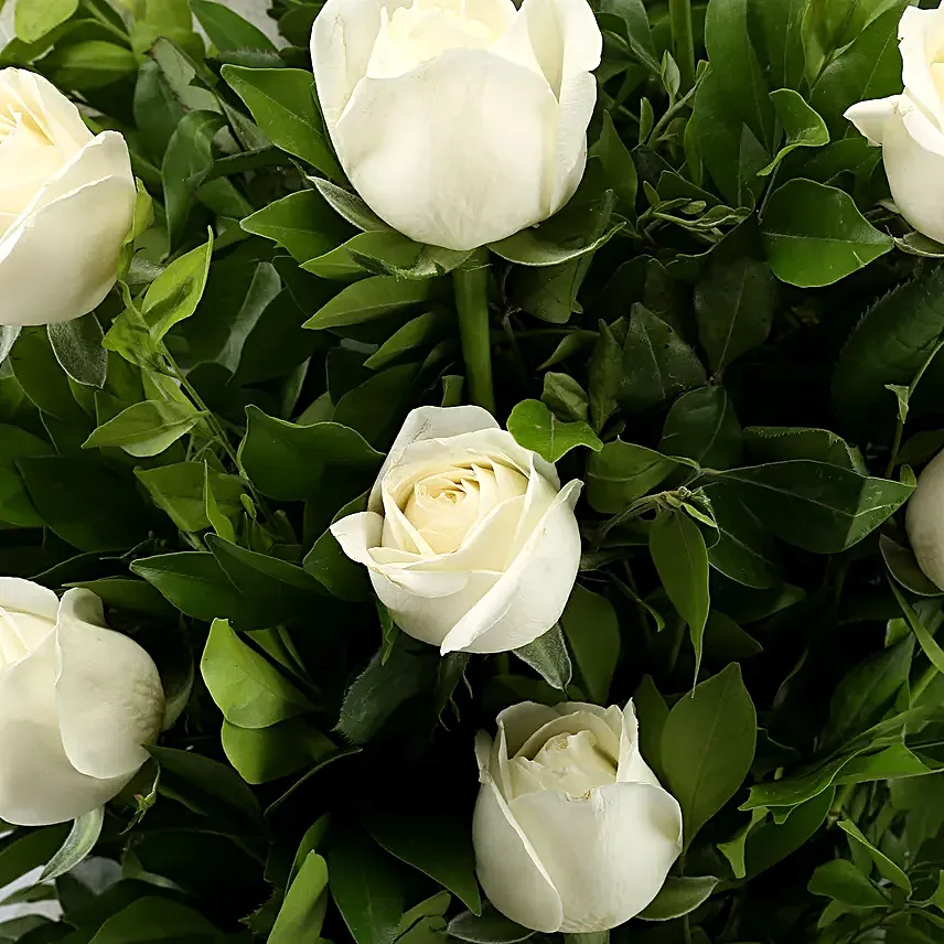 A Cool Breeze Roses Bouquet Ferrero Rocher Box