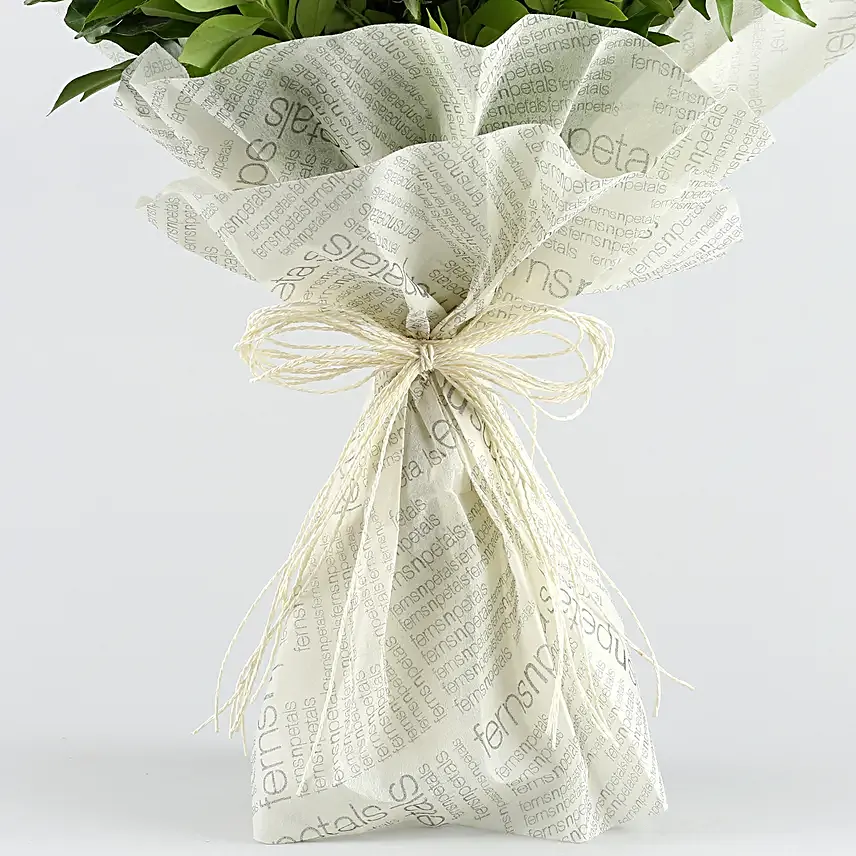 A Cool Breeze Roses Bouquet Truffle Cake