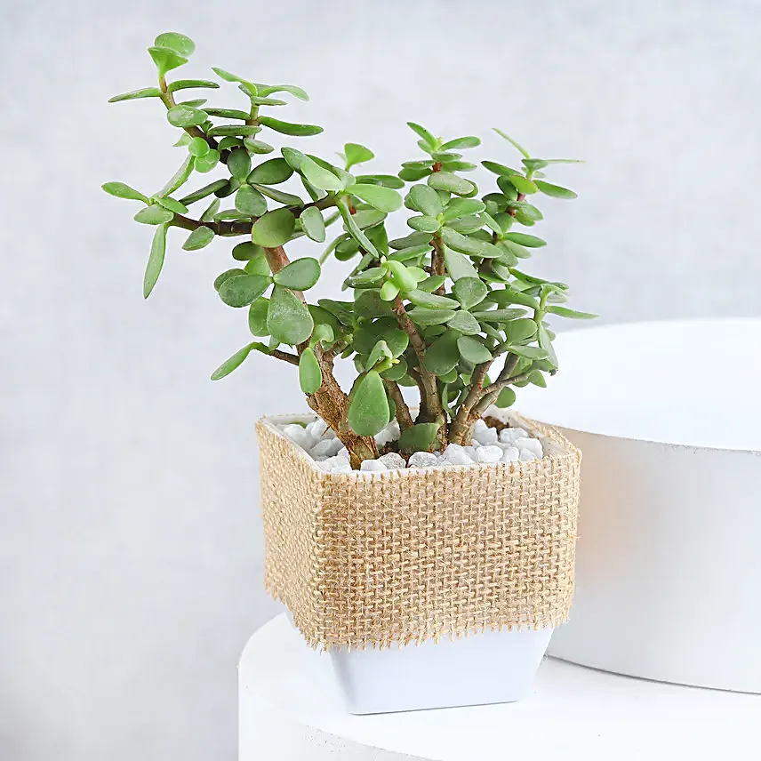 A Mothers Love Nurturing Basket