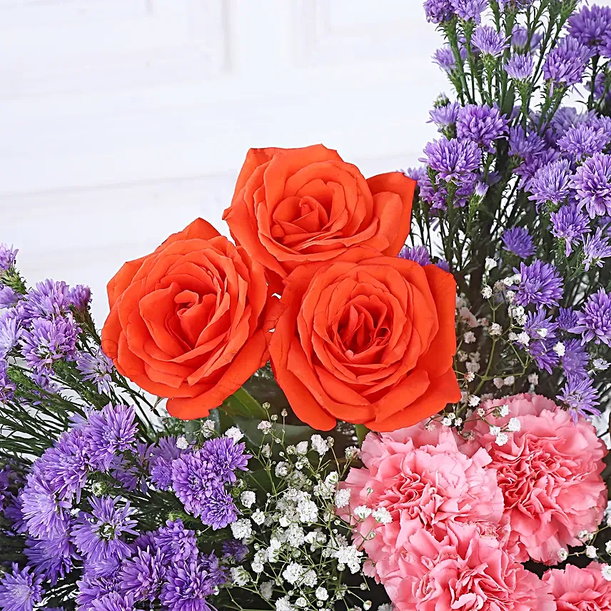 A Splash of Love and Admiration