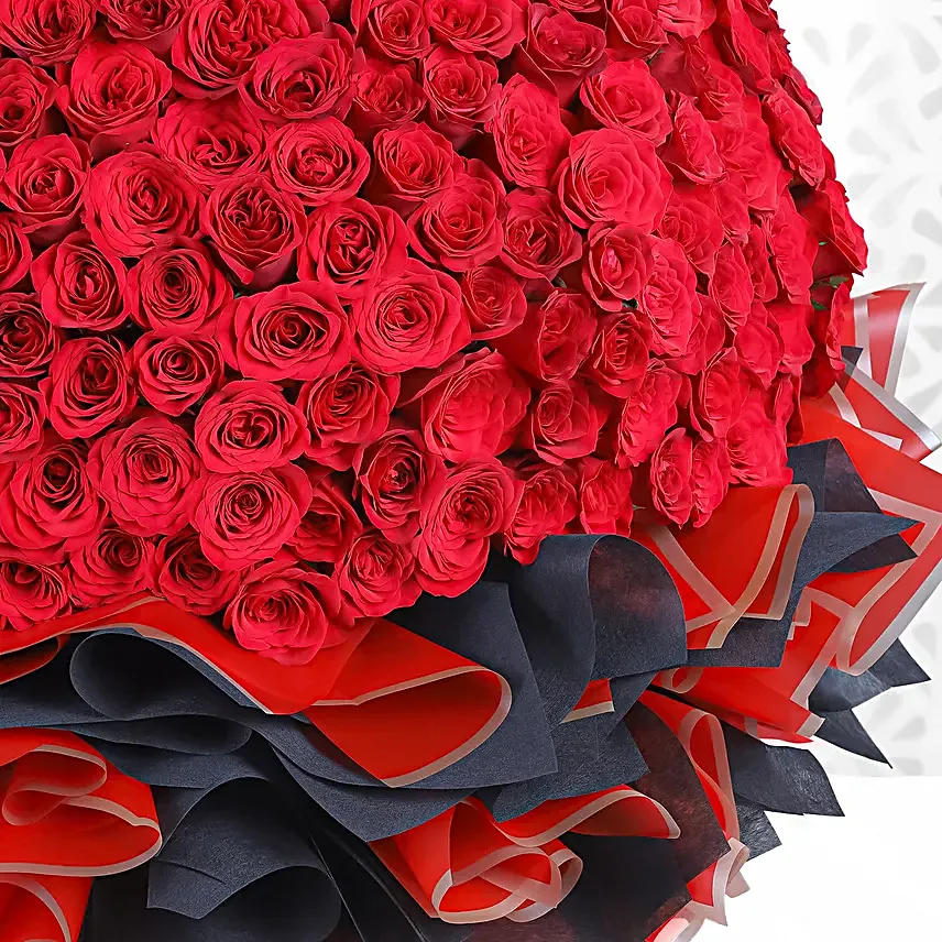 A Year of Rosy Love