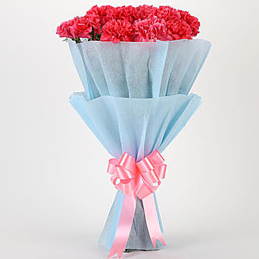 Carnation Carnival - Bunch of 15 Pink carnations. womens day women day woman day women's day