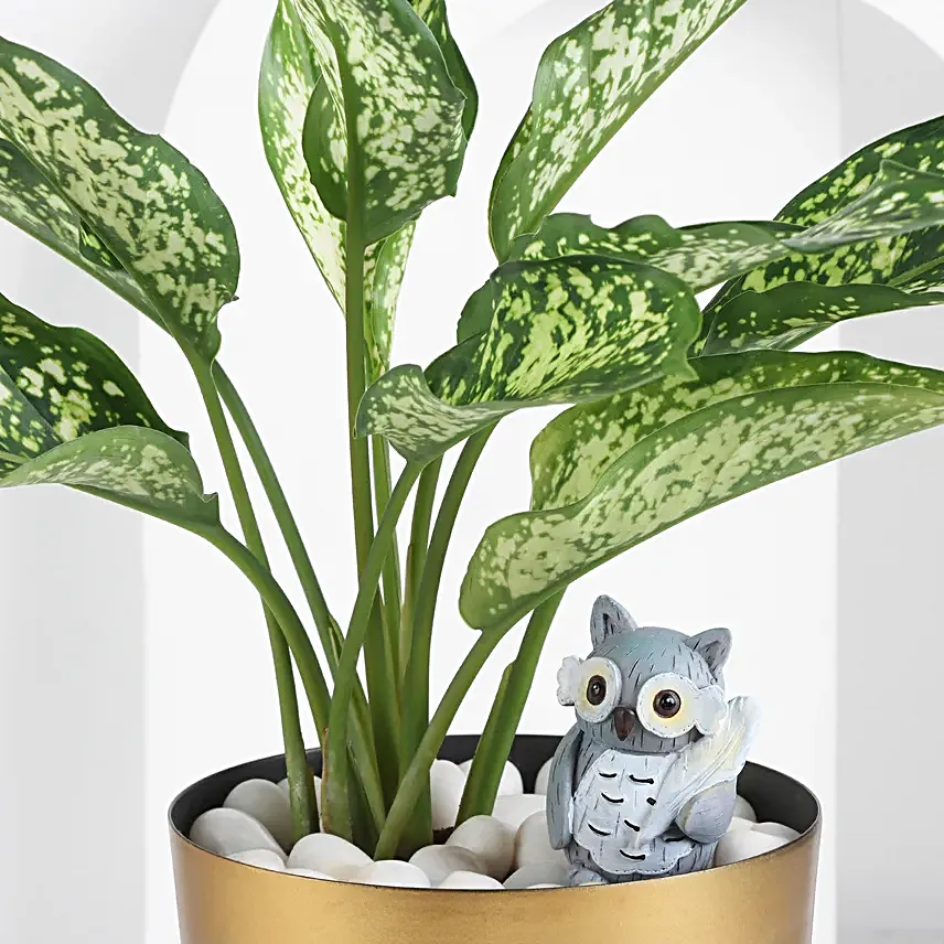 Aglaonema Plant In A Golden Pot