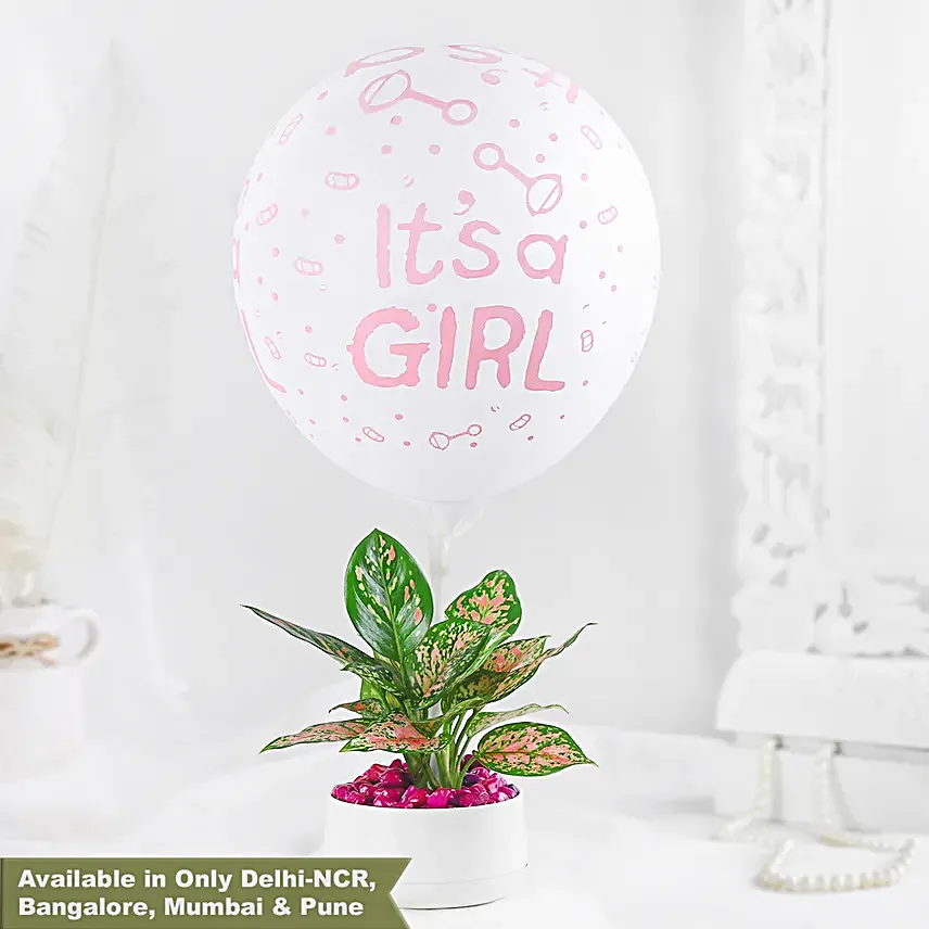 Aglaonema Plant White Pot Its A Girl Gift