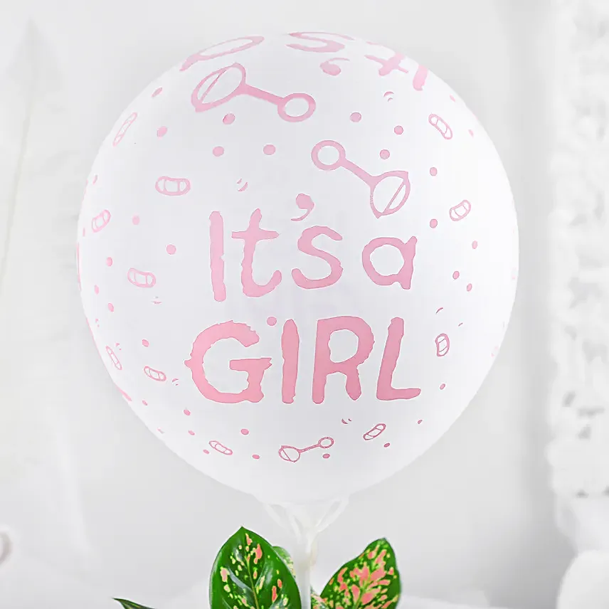 Aglaonema Plant White Pot Its A Girl Gift