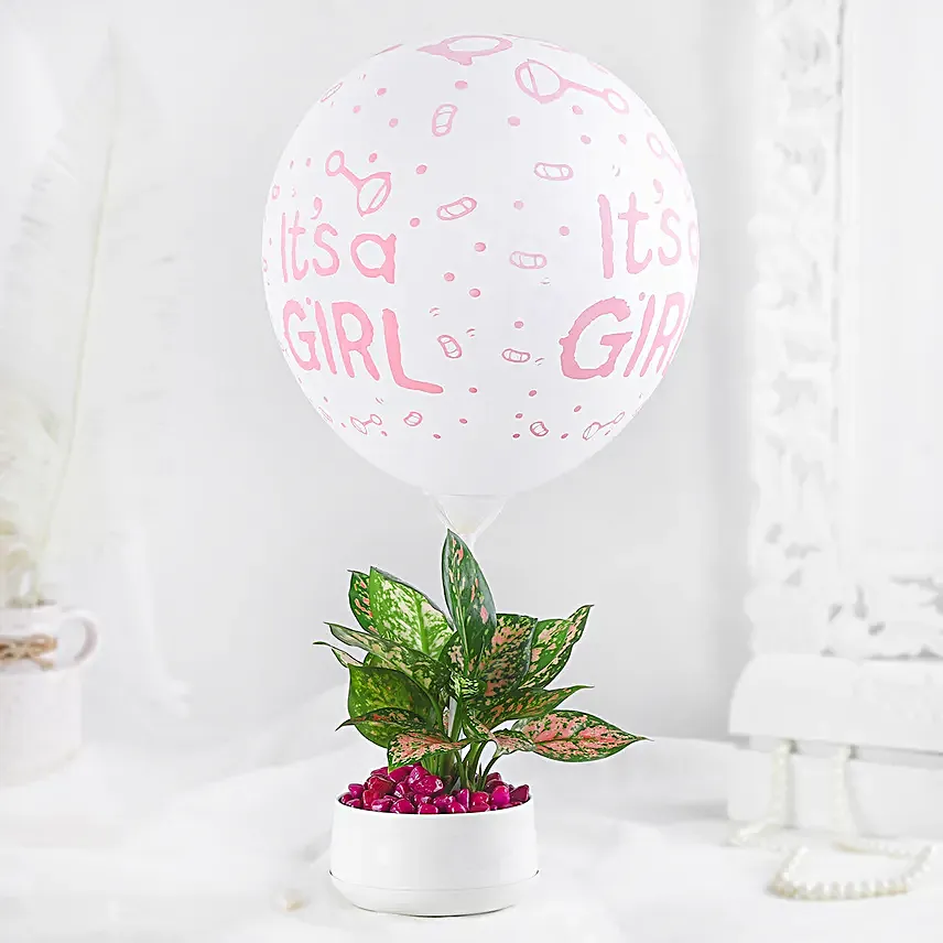 Aglaonema Plant White Pot Its A Girl Gift