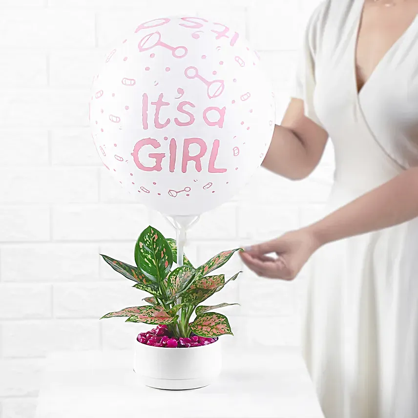 Aglaonema Plant White Pot Its A Girl Gift