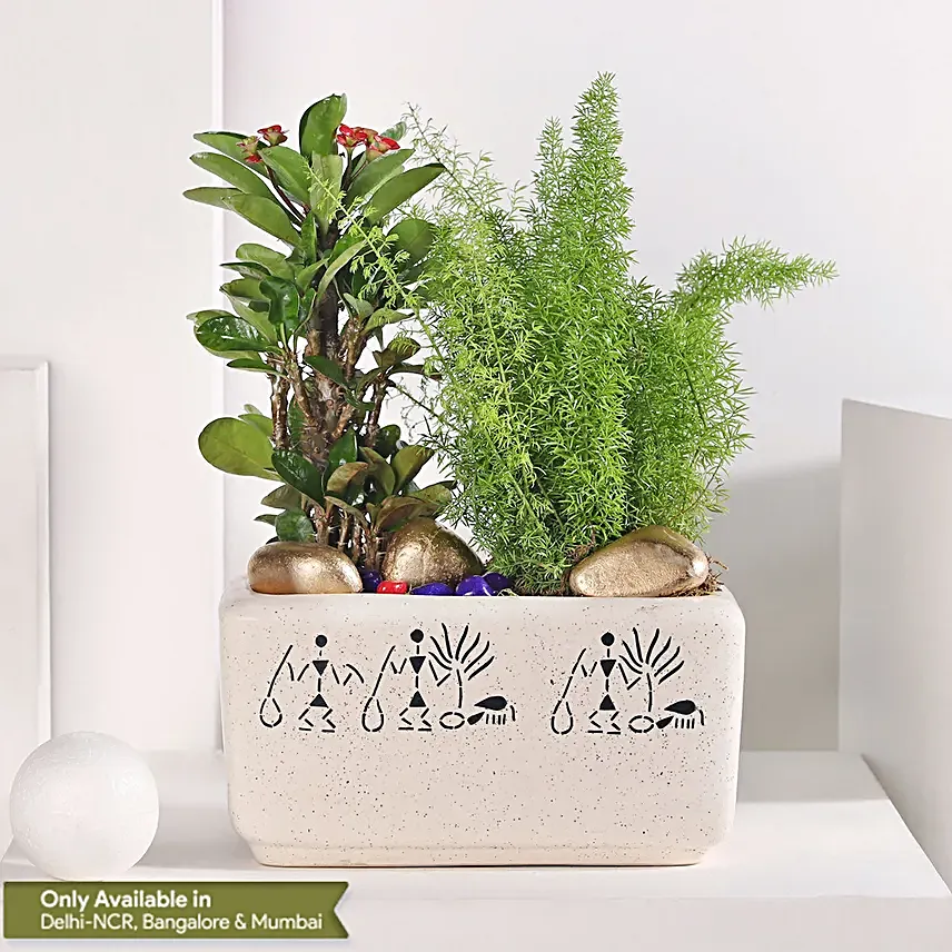 Asparagus and Pink Euphorbia Delight