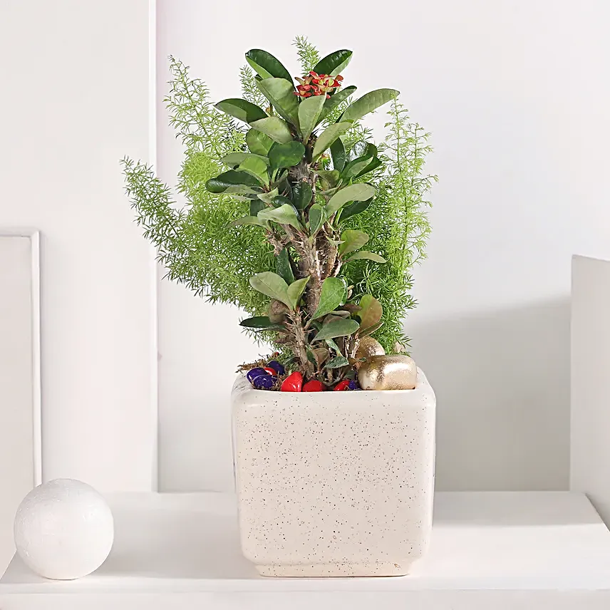 Asparagus and Pink Euphorbia Delight