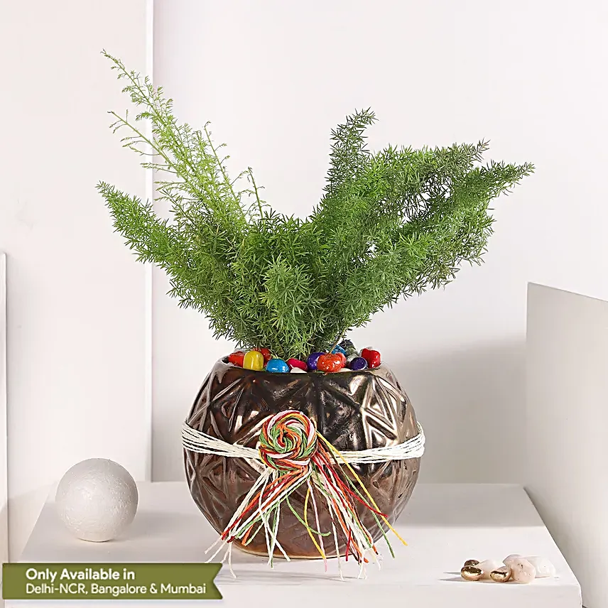 Asparagus Serenade in Fish Bowl