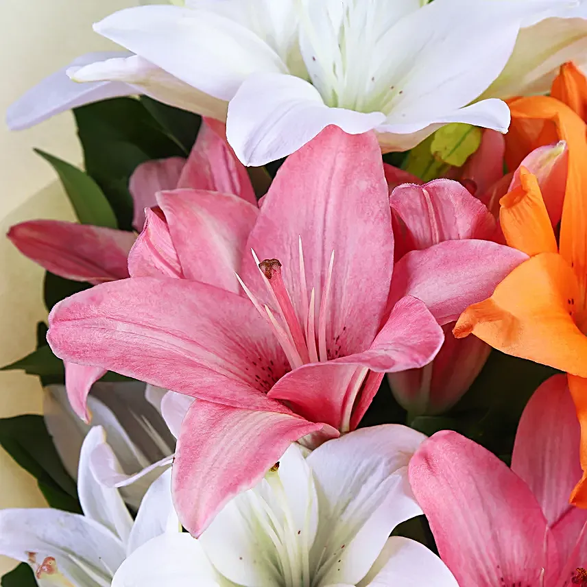 Online Attractive Mixed Lilies