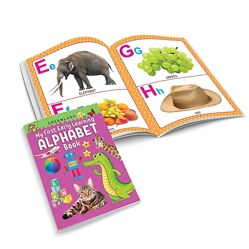 Babys First Early Learning Book Set