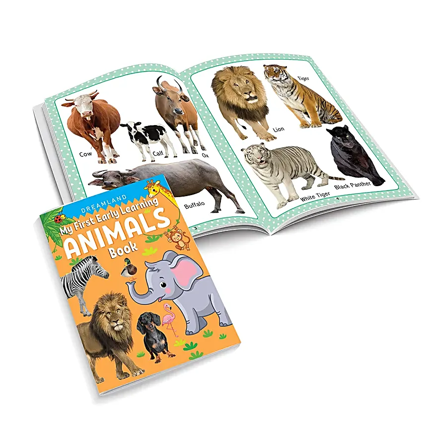 Babys First Early Learning Book Set