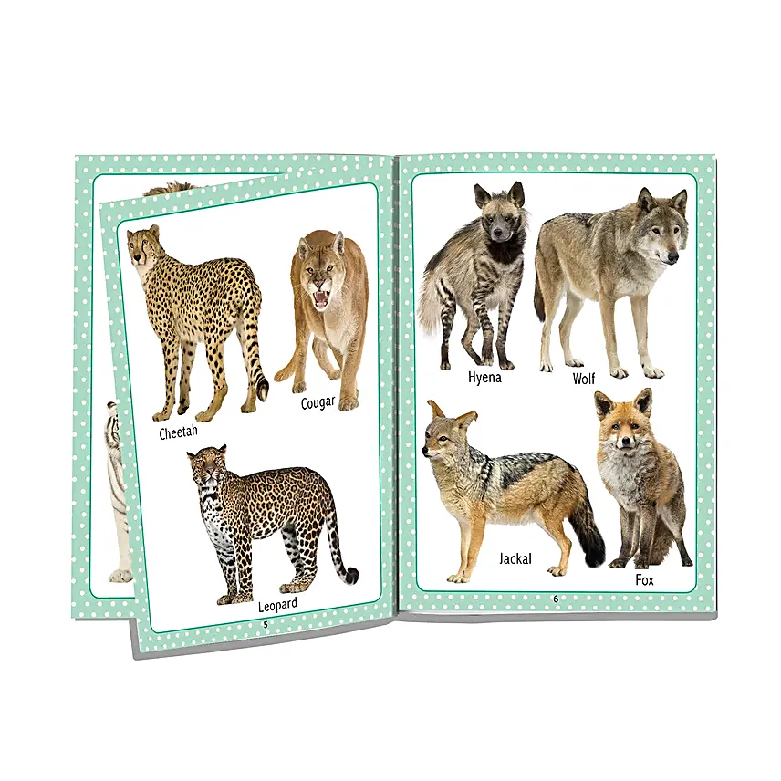 Babys First Early Learning Book Set